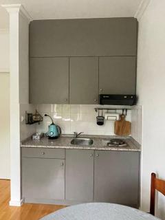 Apartment VilaPark 14 - Rogaška Slatina - 6