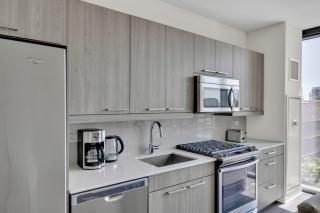 W Loop Studio w Gym WD 3 blocks to L CHI-675 - Chicago - 6