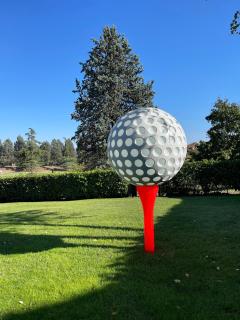 Villa Norma immersa nel Golf Margara - Fubine - 0