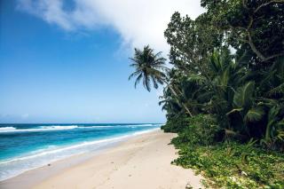 Hilton Seychelles Labriz Resort & Spa - Silhouette Island - 6