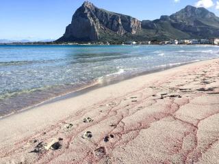Apartment Carlo Gaia 165 by Interhome - San Vito lo Capo - 9