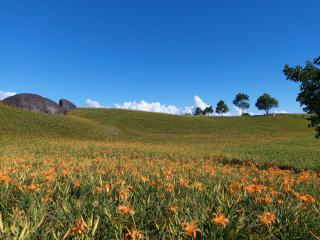 赤科山櫻之谷咖啡民宿 - 8