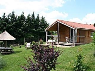 Chalet familial avec piscine, animaux acceptés, draps inclus, proche de Montluçon et Gannat - FR-1-489-323 - Échassières - 5