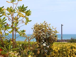 T2 charmant au Cap d'Agde - Terrasse et plage à 30m - FR-1-607-6 - Cap d'Agde - 2