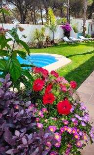 Villa Zahara - Chiclana de la Frontera - 7