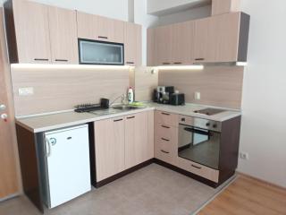 LOREA Apartment L000 in Aspen Golf Resort - Razlog - 4