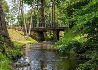 Tocketts Mill Country Park - Upleatham - 7