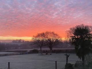 Luxurious ground floor en-suite bedroom with separate entrance - 2