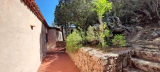 Ville Cannigione La Conia - Cannigione - 5