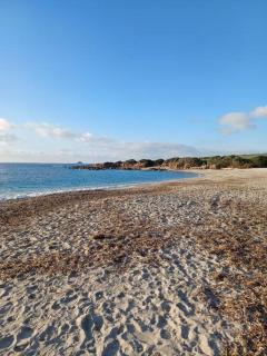 Les crêtes , magnifique T2 4 pers Route des Sanguinaires - Ajaccio - 8