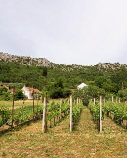 Villa Hameau de Signargues, entre Avignon - Pont du Gard et Uzes - Domazan - 5
