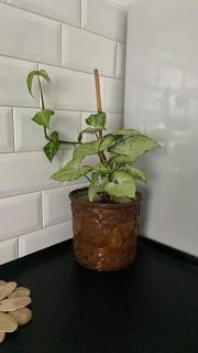 Квартира у Старому місті - 2