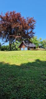 Mini Hill - Tiny House - 5