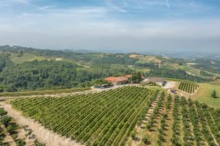Agriturismo Cantine Bevione - Rooms with air conditioning - Belvedere Langhe - 9