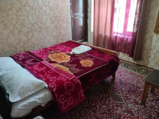 HOTEL REGENCY - Srinagar - 3