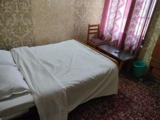 HOTEL REGENCY - Srinagar - 2