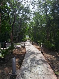Aparment/5 Pax/ Jardines De Mayakoba/pool/2 Br - Playa del Carmen - 4