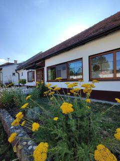 Kuća za odmor Iva - 5