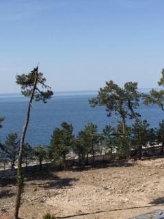 Studio Apartment - Kobuleti - 3