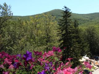 Albergo Le Macinaie - Monte Amiata - 4