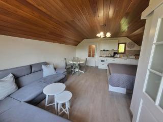 Apartmán Pure Harmony - Velké Bílovice - 0