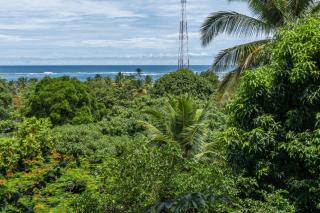 Mot Mot Vacation - 1