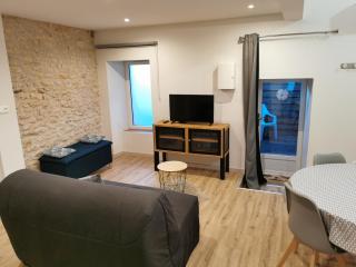 Studio Climatisé 38m2 Poitiers proche Futuroscope - Buxerolles - 9