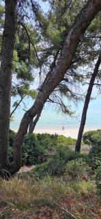 Sunny Seaside Villa-90 m from beach - Kriopigi - 0
