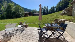 Chalet Birdie - Le Grand-Bornand - 3
