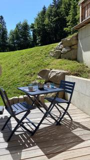 Chalet Birdie - Le Grand-Bornand - 2