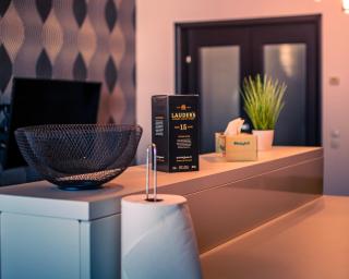 MOZART RESIDENCE PLOIEȘTI Family and Business Apartment - Ploieşti - 7
