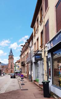Charmant studio en centre-ville - Saint-Dié-des-Vosges - 9