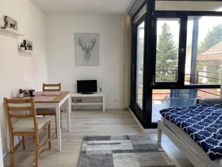 Kleines Einzimmer-Apartment 23 - Bad Wildbad - 0