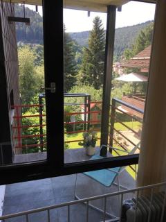 Kleines Einzimmer-Apartment 23 - Bad Wildbad - 3