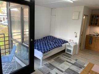 Kleines Einzimmer-Apartment 23 - Bad Wildbad - 2