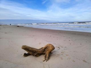 Apartament 5 z widokiem na basen - 8