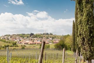 Le Bianchette Agriturismo e Fattoria Didattica - 3