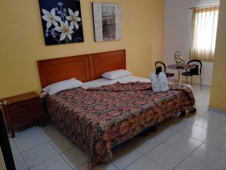 Olmedo Plaza Hotel - Guayaquil - 1