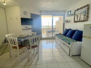 Appartement 2 pièces avec piscine proche commerces - FR-1-748-4 - Canet-en-Roussillon - 9