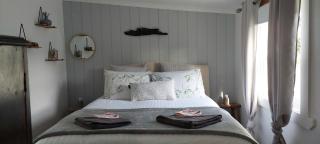 The Artists Cottage - absolute waterfront - Strahan - 1