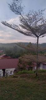 Ema roomstay - 2