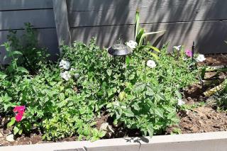 A Great Riverfront Retreat a Shangri-La Paradize - 3