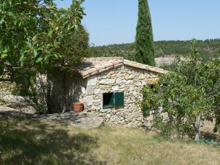 Le Relais de Vazeille - Saint-Maurice-dʼIbie - 1