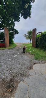 SeeSea Thai wooden house on beachfront - 3