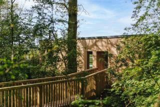RewildThings Treehouses - 8
