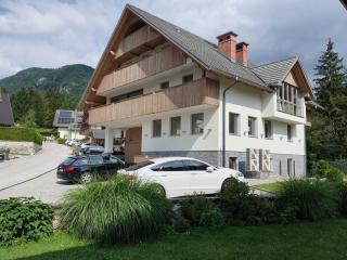 Mountain view in Bohinj - 0