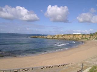 Tulips by the Sea - Cascais - 6