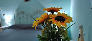 Il Girasole - 4
