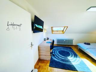 Friedrichshafen im Grünen genießen - Friedrichshafen - 2
