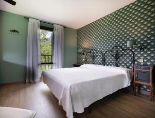 Apartamentos Viña Olivan - Sarvisé - 9